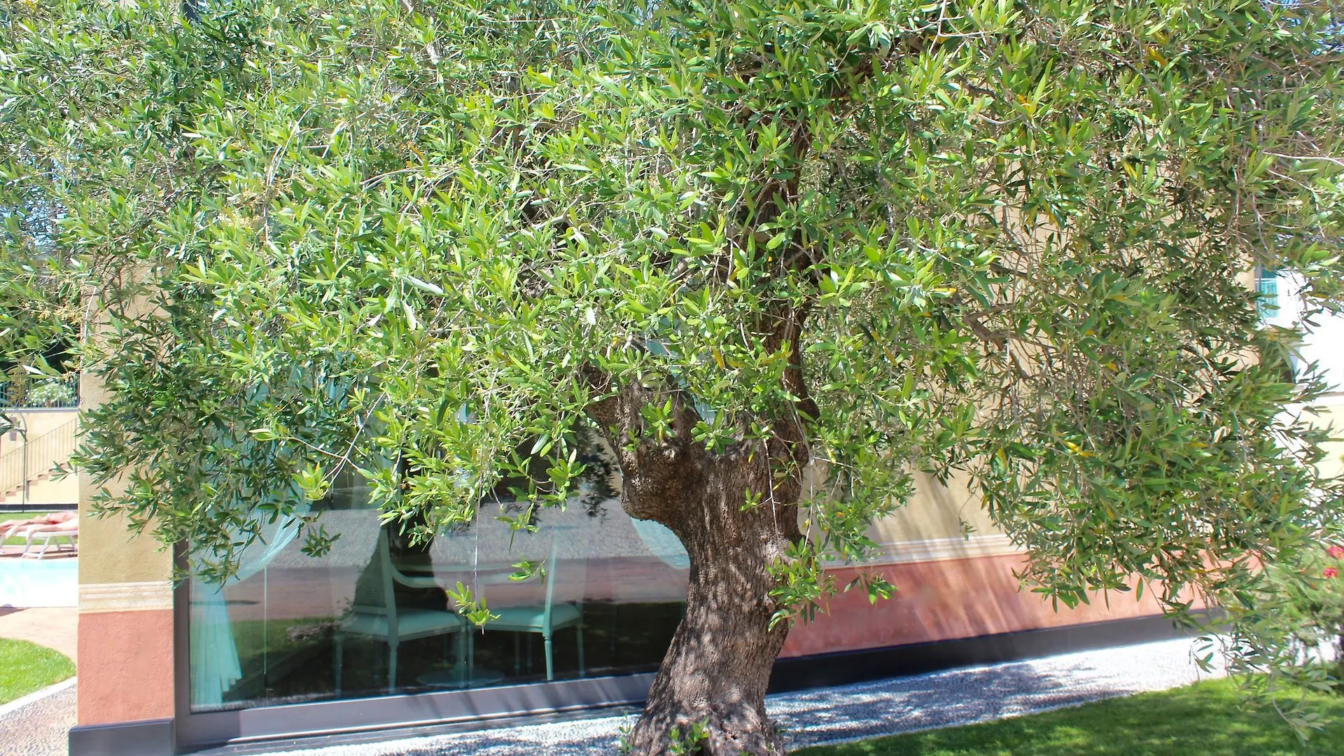 Hotel Villa Agnese Sestri Levante